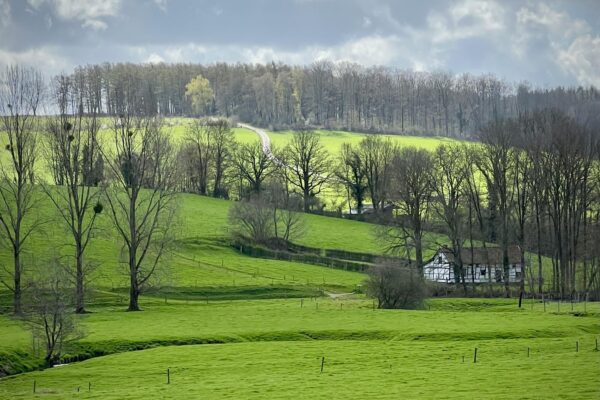 Vijlen heuvels